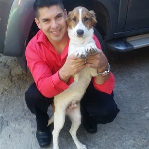 Meet your Posher, Osmar